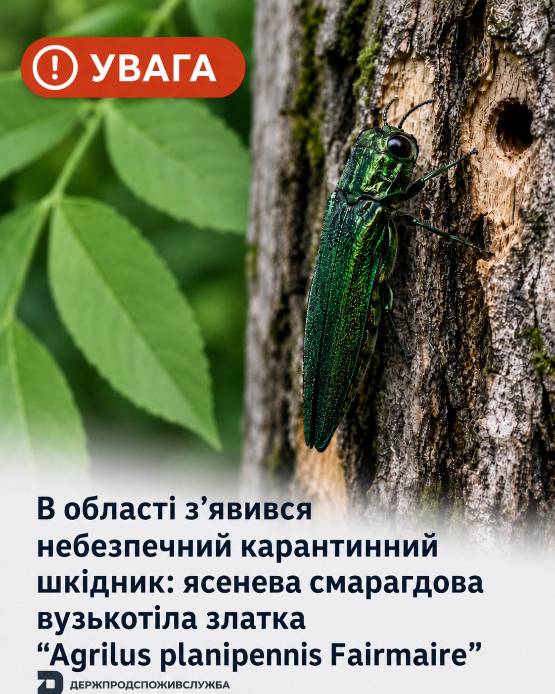 news-img
